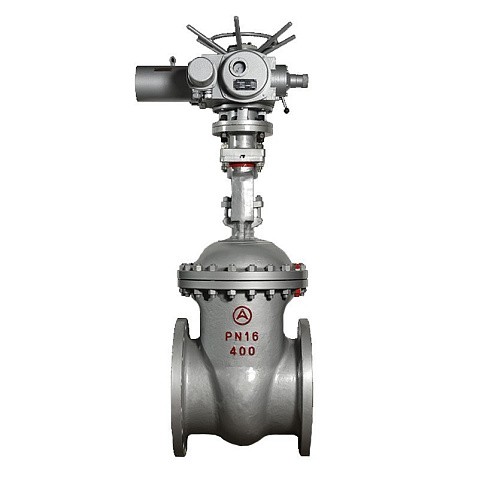 Задвижка стальная 30с941нж DN 600 PN 16 фланцевая под привод тип Г, класс ''А'' L=800мм САЗ АВАНГАРД купить в Москве | "Проконсим"