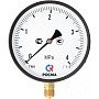 Манометр Росма ТМ-610Р 6,0 МПа /60 ат 150мм G1/2'' купить в Москве | "Проконсим"