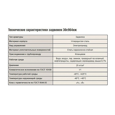 Задвижка стальная 30с964нж DN 600 PN 25 фланцевая под привод тип Г, класс ''А'' L=800мм САЗ АВАНГАРД купить в Москве | "Проконсим"