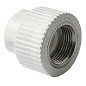 Муфта комбинированная ПП 25-3/4'' PN 25 с внутренней резьбой белая Pro Aqua PA22014P купить в Москве | "Проконсим"