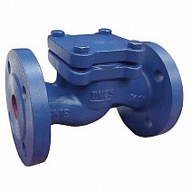Клапаны обратные подъемные DN 15-200 PN 16 чугунные фланцевые до 250гр. АСТА ОК113 купить в Москве | "Проконсим"