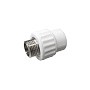 Муфта комбинированная ПП 20-1/2'' PN 25 с наружной резьбой белая VALFEX Pro купить в Москве | "Проконсим"