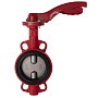 Затвор дисковый поворотный DN 150 PN 16 межфланцевый с диском из чугуна уплотнение-EPDM ручной Рашворк 200