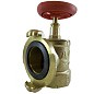 Клапан пожарный латунный КПАЛ DN 50 PN 16 угловой 90гр. муфта-соединительная головка Апогей купить в Москве | "Проконсим"