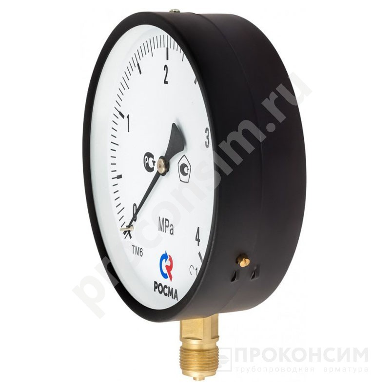 Цена [%TOWN_PRICE%].  Под заказ. Манометр общетехнический Росма ТМ-610Р.00, 0-10МПа M20x1,5, 150мм, радиальное присоединение, класс точности 1.5, IP54 (930092093) со склада Проконсим в Москве