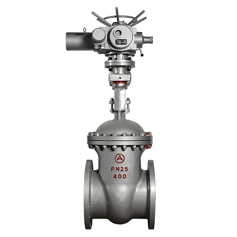 Задвижка стальная 30с964нж DN 600 PN 25 фланцевая под привод тип Г, класс ''А'' L=800мм САЗ АВАНГАРД купить в Москве | "Проконсим"