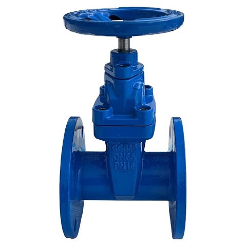 Задвижка чугунная 30ч39р DN 600 PN 10 с обрезиненным клином EPDM до 120гр. КНР купить в Москве | "Проконсим" (101469058)