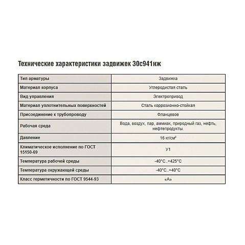 Задвижка стальная 30с941нж DN 600 PN 16 фланцевая под привод тип Г, класс ''А'' L=800мм САЗ АВАНГАРД купить в Москве | "Проконсим"