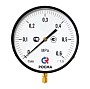 Манометр Росма ТМ-810Р.00 котловый, 250мм, 0-16кгс/см2, резьба M20x1,5, радиальный, класс точности 1,5 купить в Москве | "Проконсим"