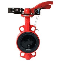 Затворы чугунные дисковые DN 50-250 PN 16 межфланцевые с концевиками и чугунным диском рычаг РАШВОРК купить в Москве | "Проконсим"