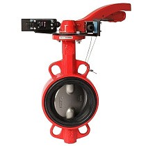 Затворы чугунные дисковые DN 50-250 PN 16 межфланцевые с концевиками диск из нержавеющей стали рычаг РАШВОРК купить в Москве | "Проконсим"