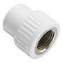 Муфта комбинированная ПП 20-1/2'' PN 25 с внутренней резьбой белая VALFEX  купить в Москве | "Проконсим"