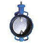 Затвор дисковый поворотный DN 600 PN 16 межфланцевый с диском из чугуна со штоком Seagull