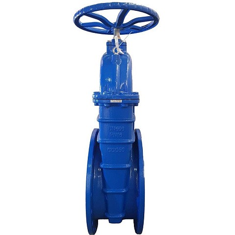 Задвижка чугунная 30ч39р DN 600 PN 10(16) с обрезиненным клином EPDM до 120гр. фланцевый ручной СИБЗТА купить в Москве | "Проконсим" (930130212)